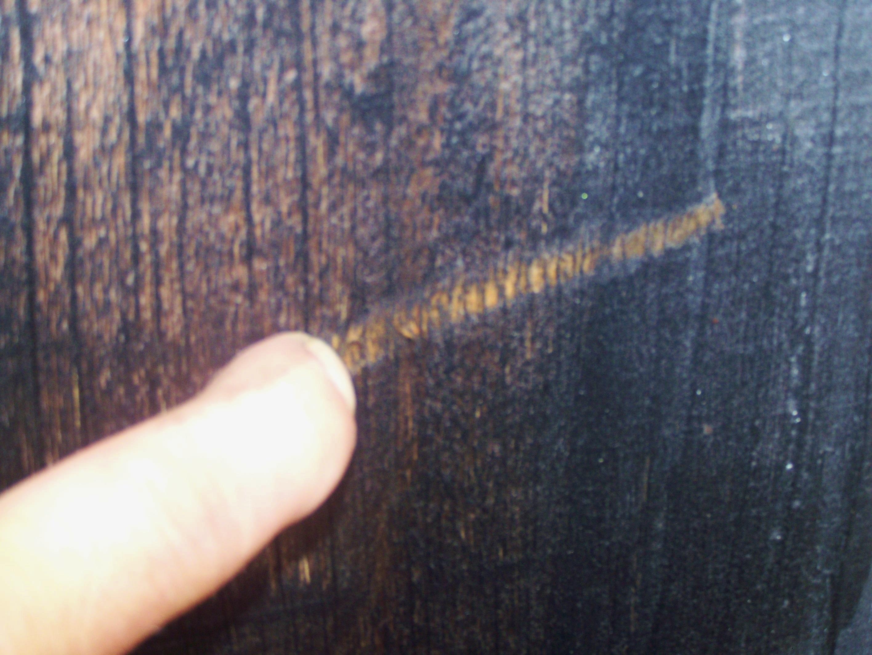 If your siding is deteriorating then you may want to consider a free estimate. 