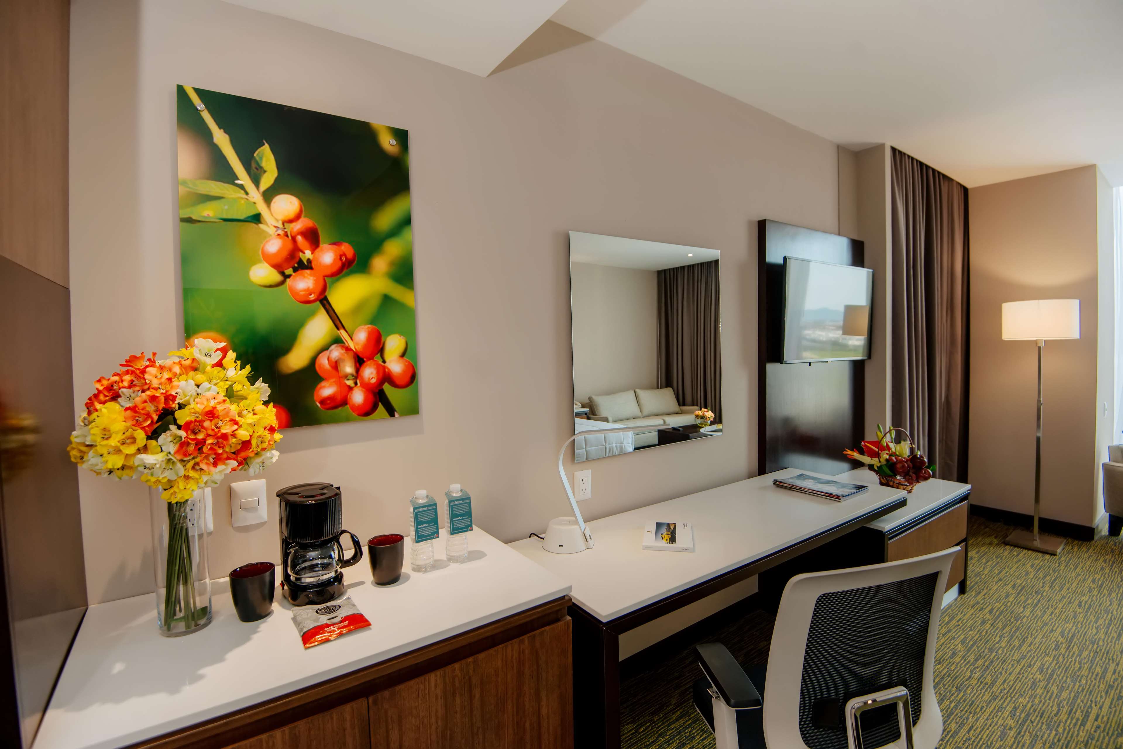 Images Hilton Garden Inn Puebla Angelópolis