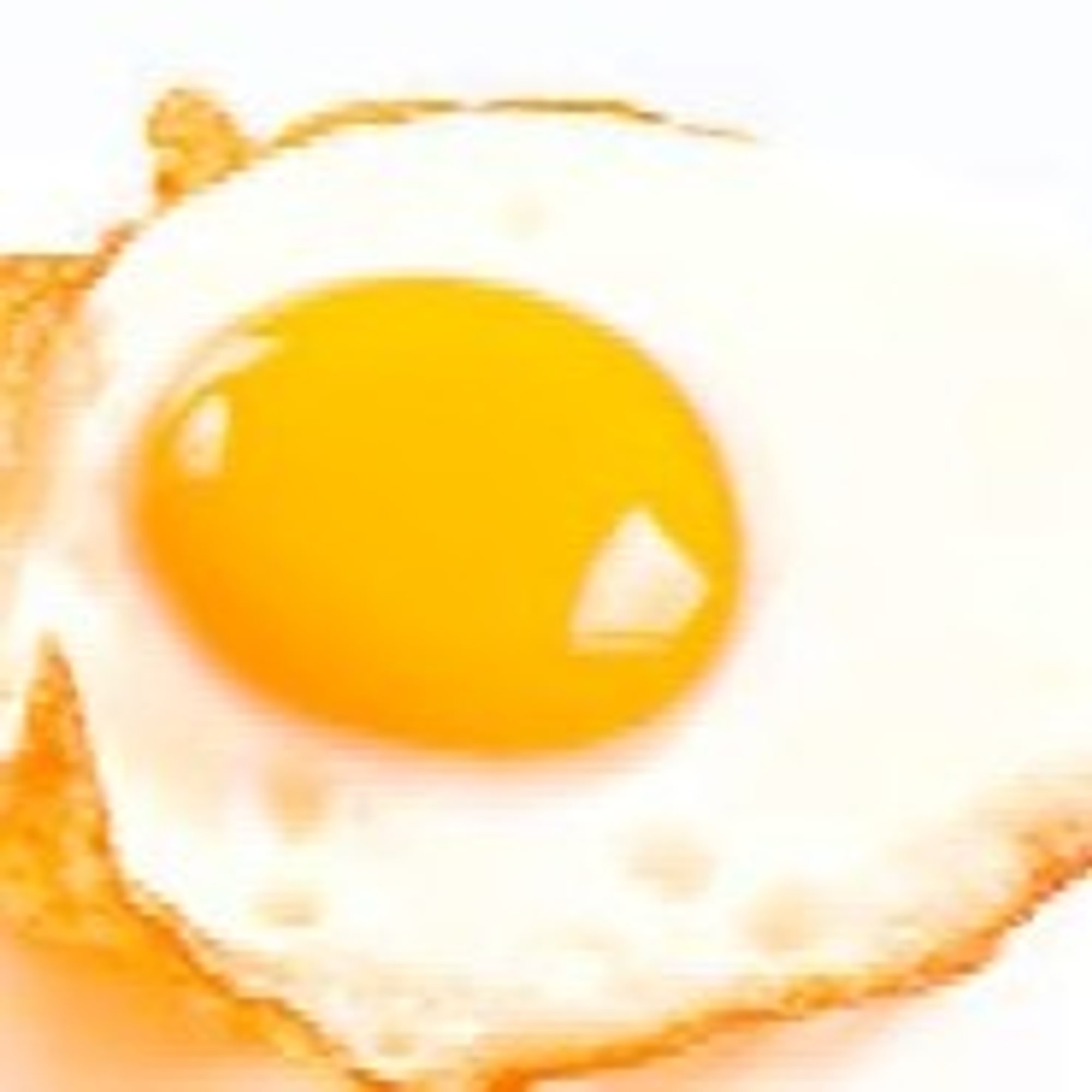 Extra Egg