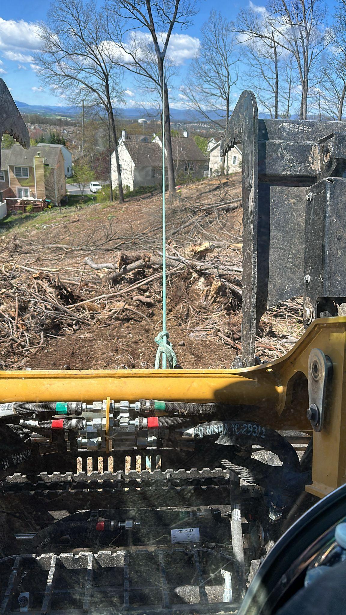 Y & VA TREE SERVICES LLC Image