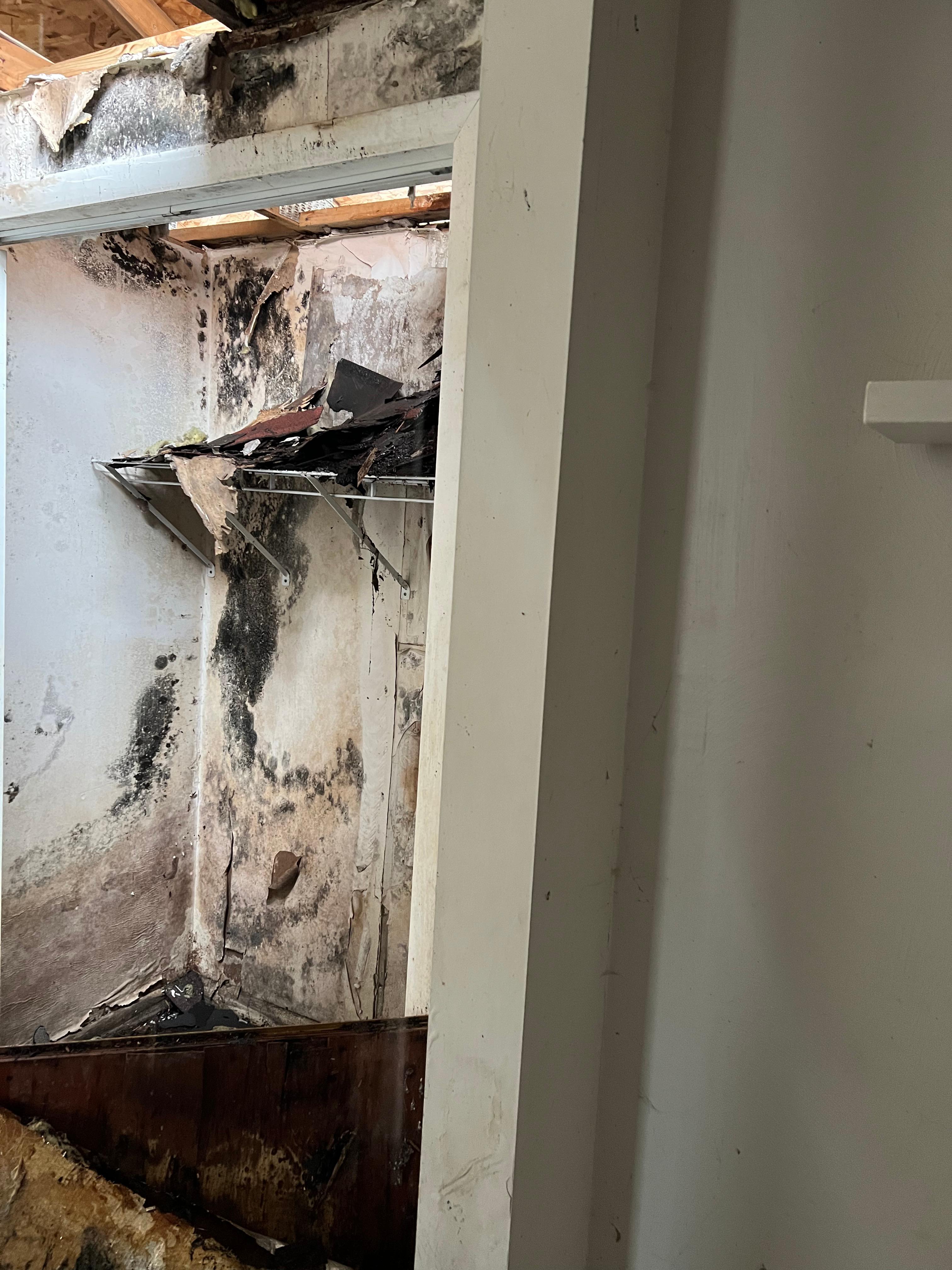 Mold damage in a closet.