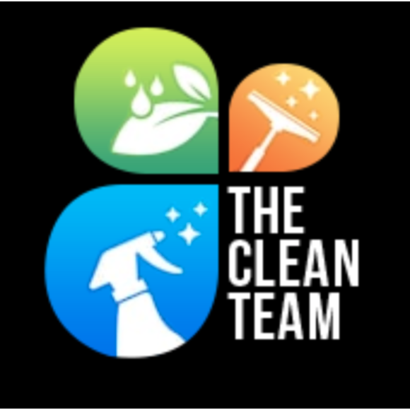 The Clean Team Logo