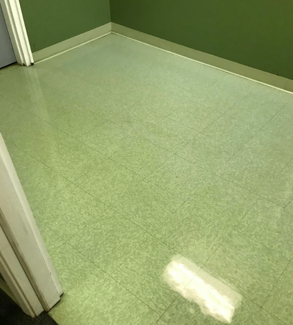 We Care Cleaning Service, LLC Indianapolis 3175594949 Cleaning Service ViewLocate