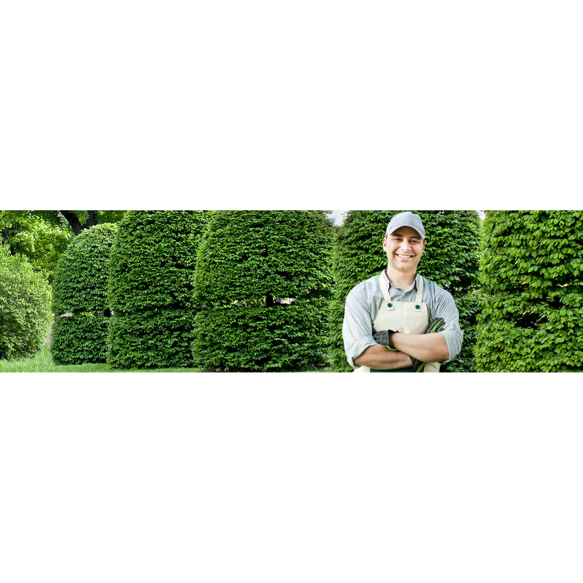 Mendoza Tree Services