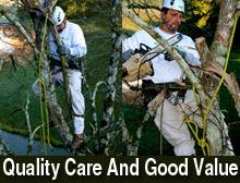 Ken's Tree Service Logo