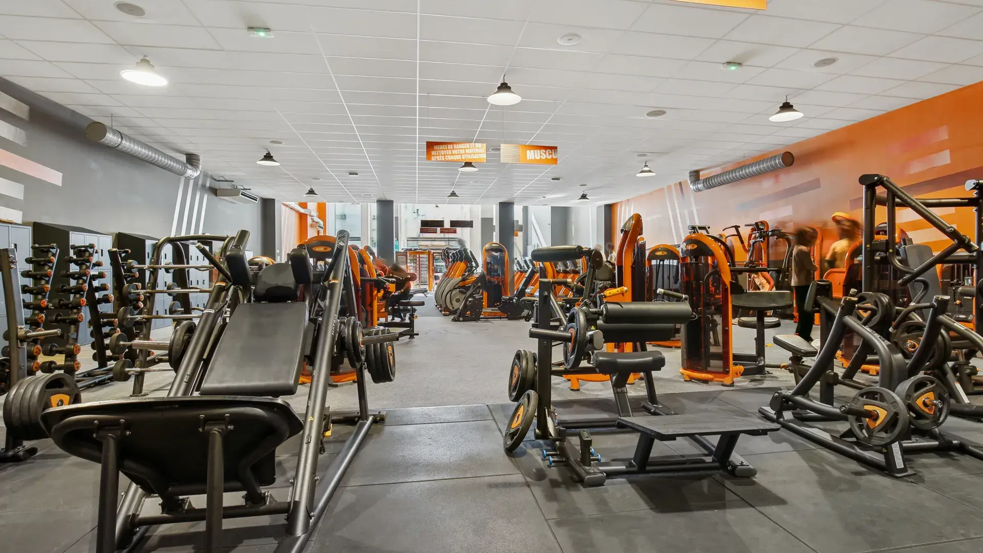 Miniature de la galerie