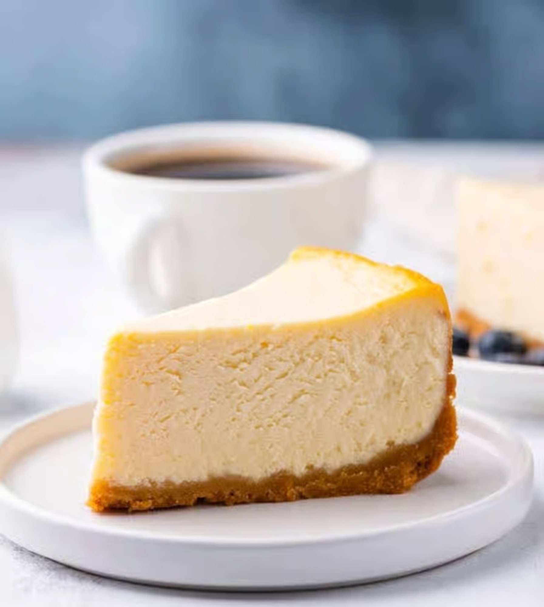 Plain Cheesecake