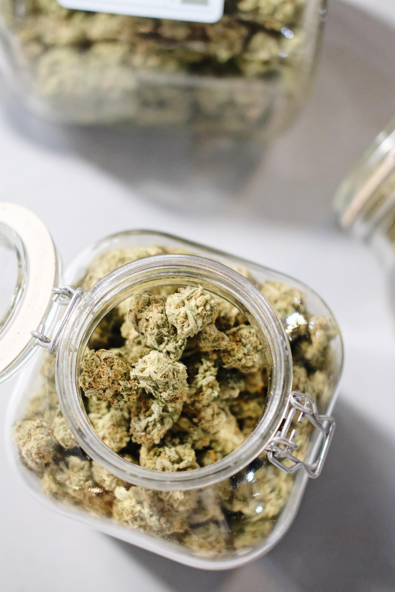 The Source Cannabis - Arkansas Image