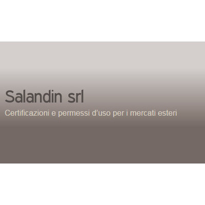 Logo di SALANDIN E C.