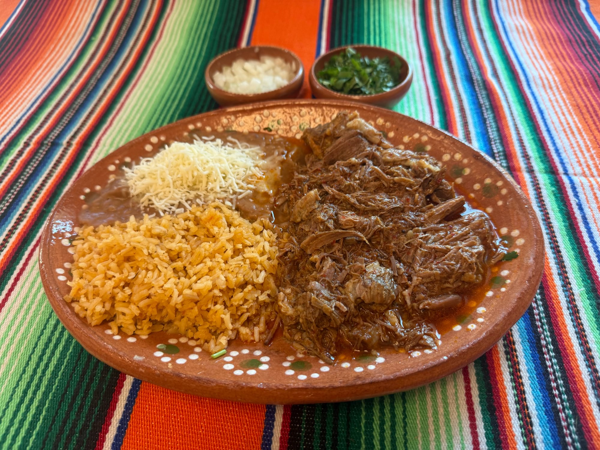 Birria Plate
