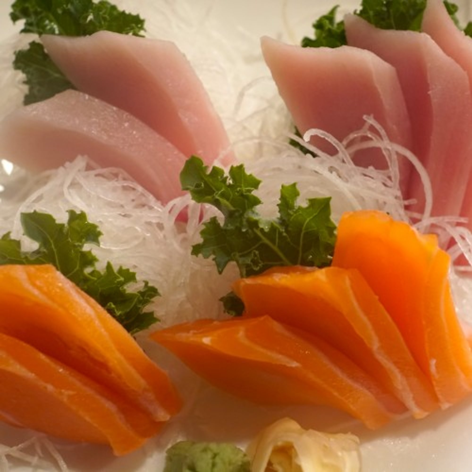 Yellowtail & Salmon Sashimi