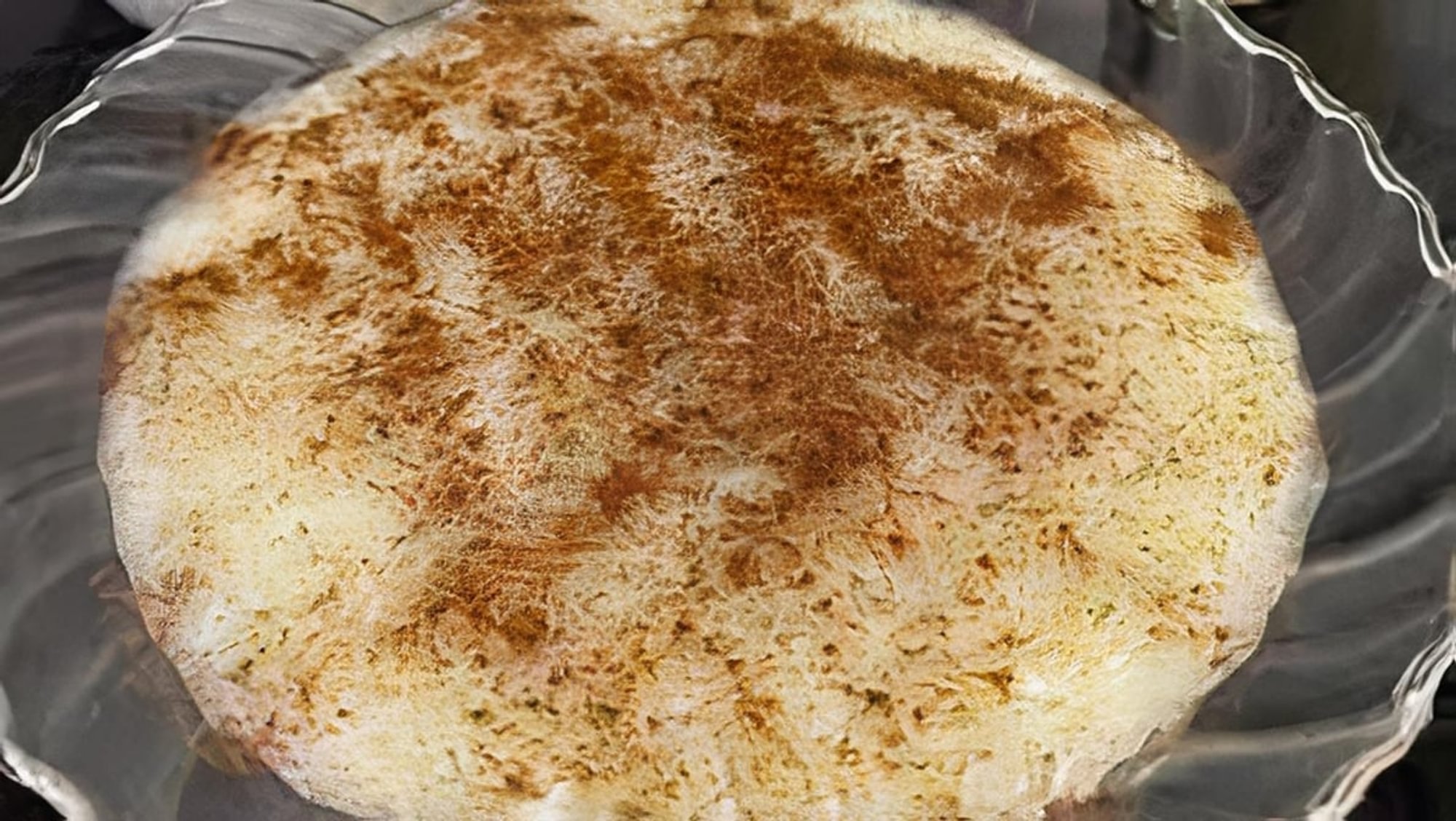 Rice Pudding (Rizogalo)