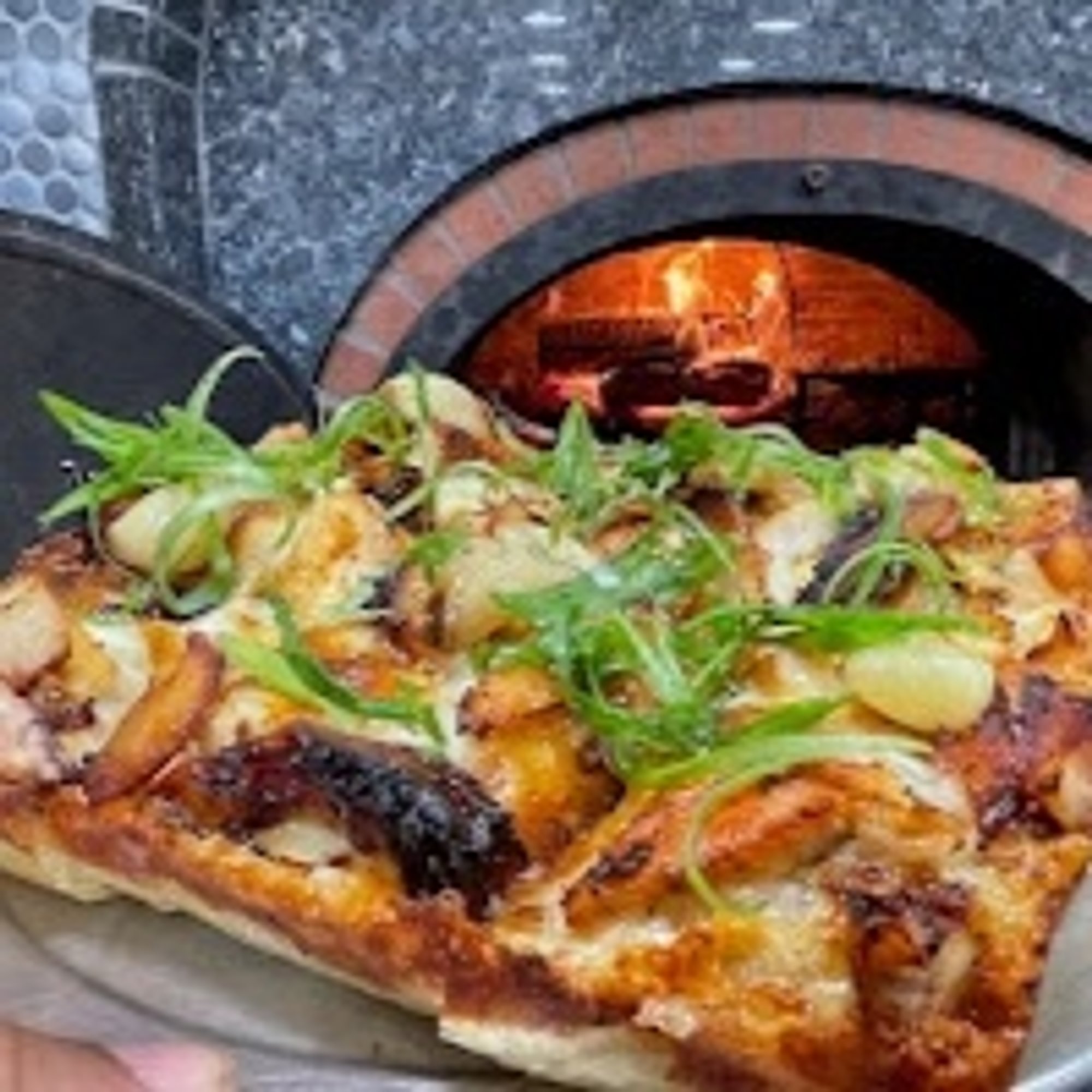 Garlic Chicken & White Truffle Pie