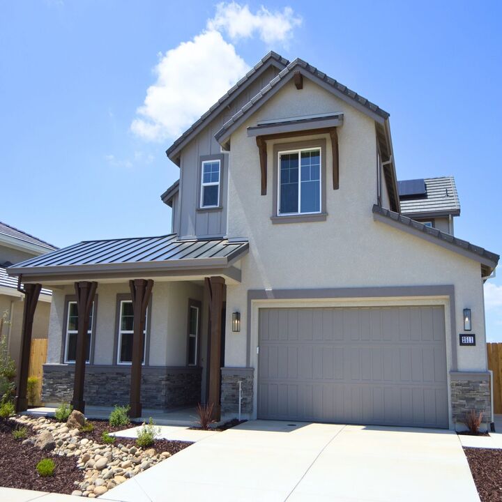 Ellison's Painting Image