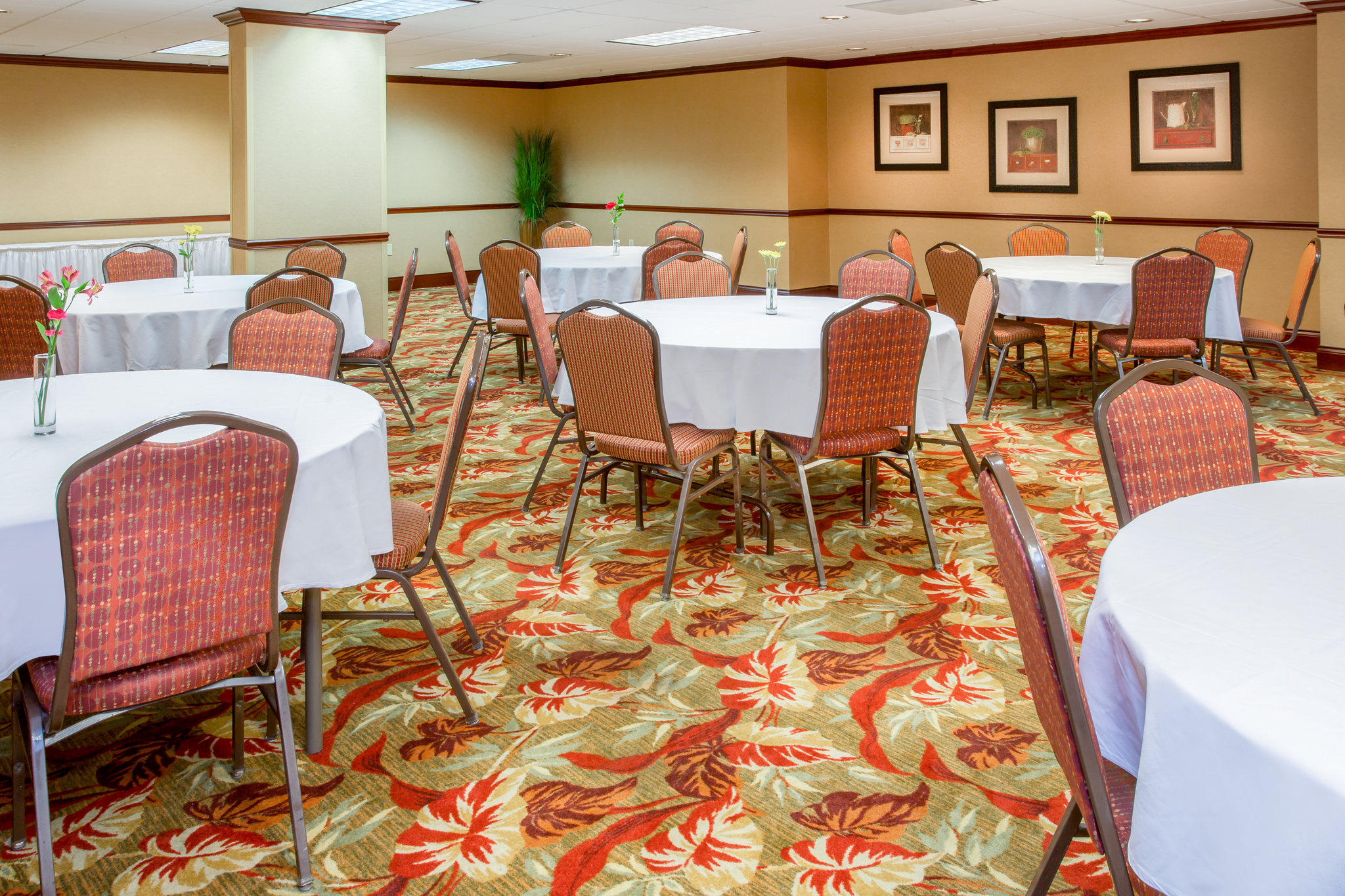 Holiday Inn Express & Suites Bloomington Photo