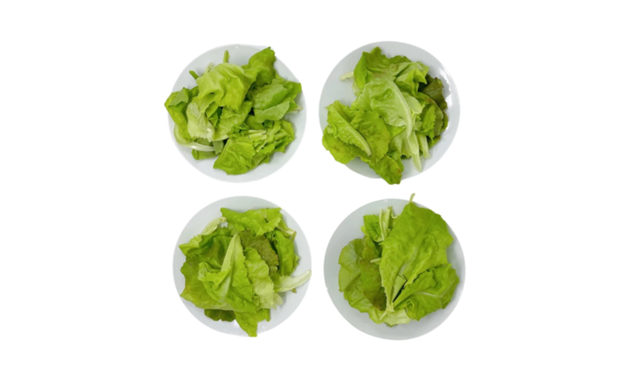 Butterhead Lettuce (1/3 lb)