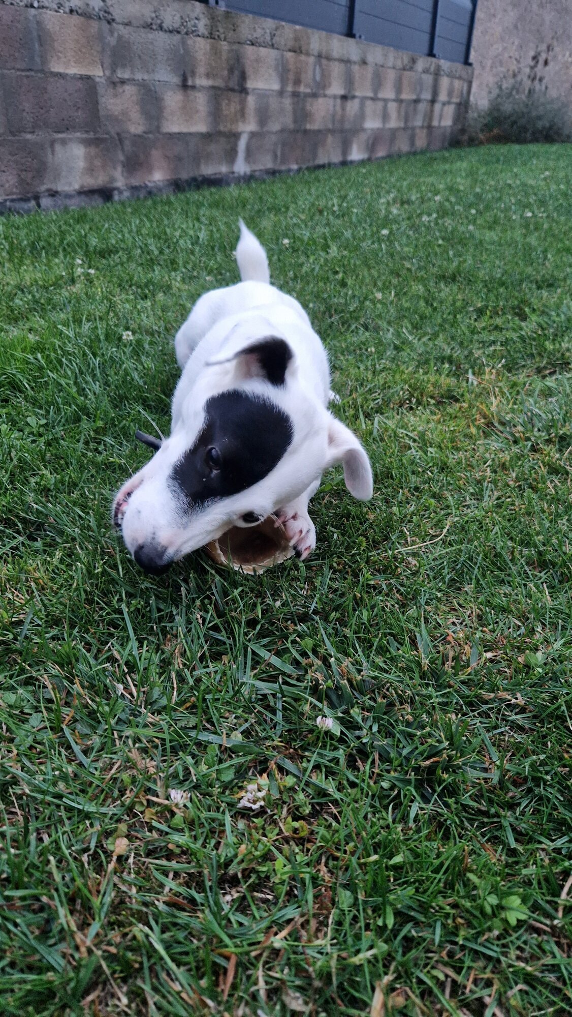 Miniature de la galerie