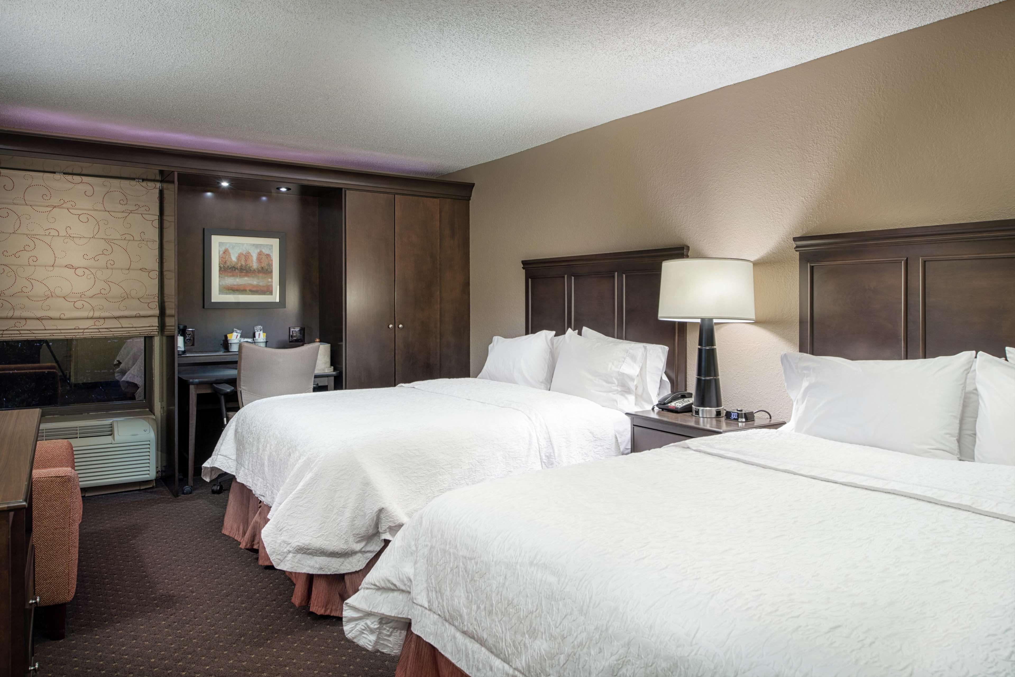 Hampton Inn Tuscaloosa-University Photo