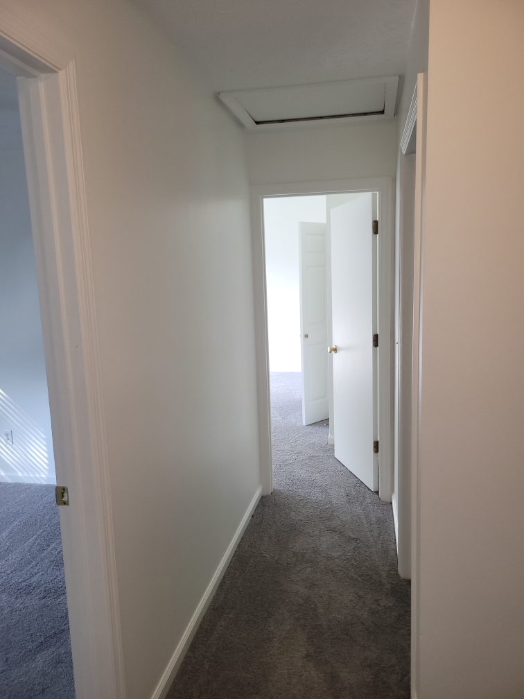 The Brush Bros Image