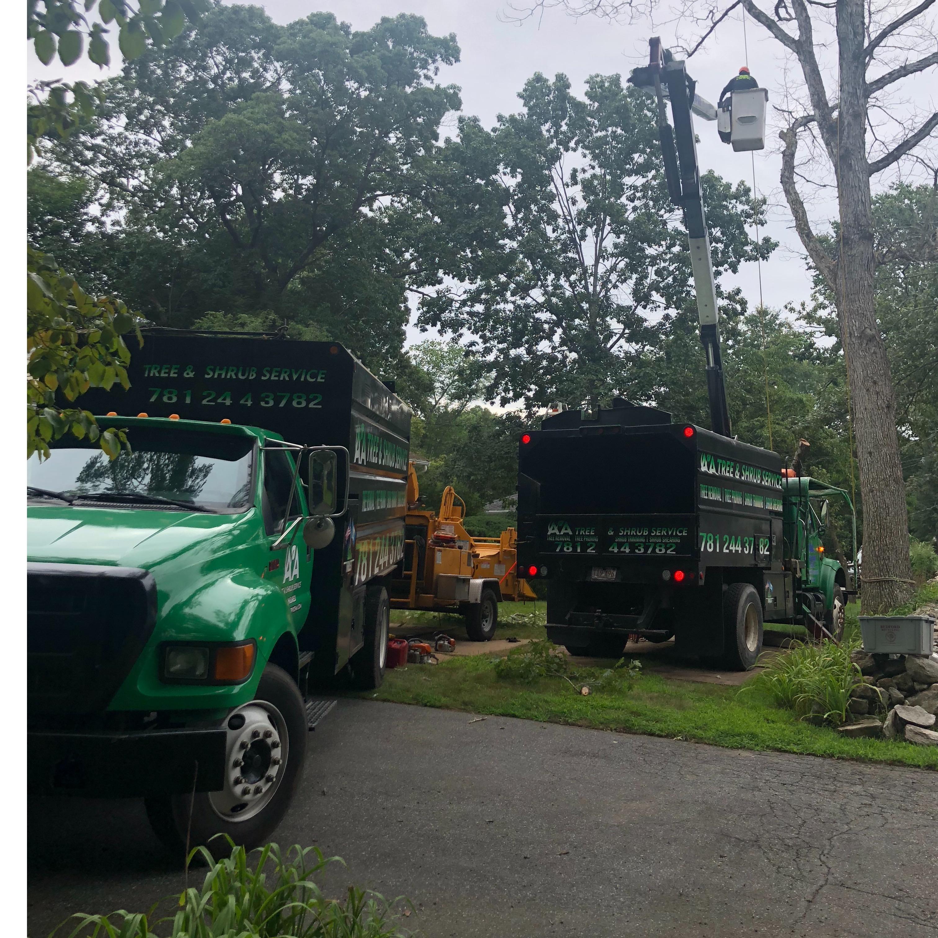 AA Tree & Shrub Service