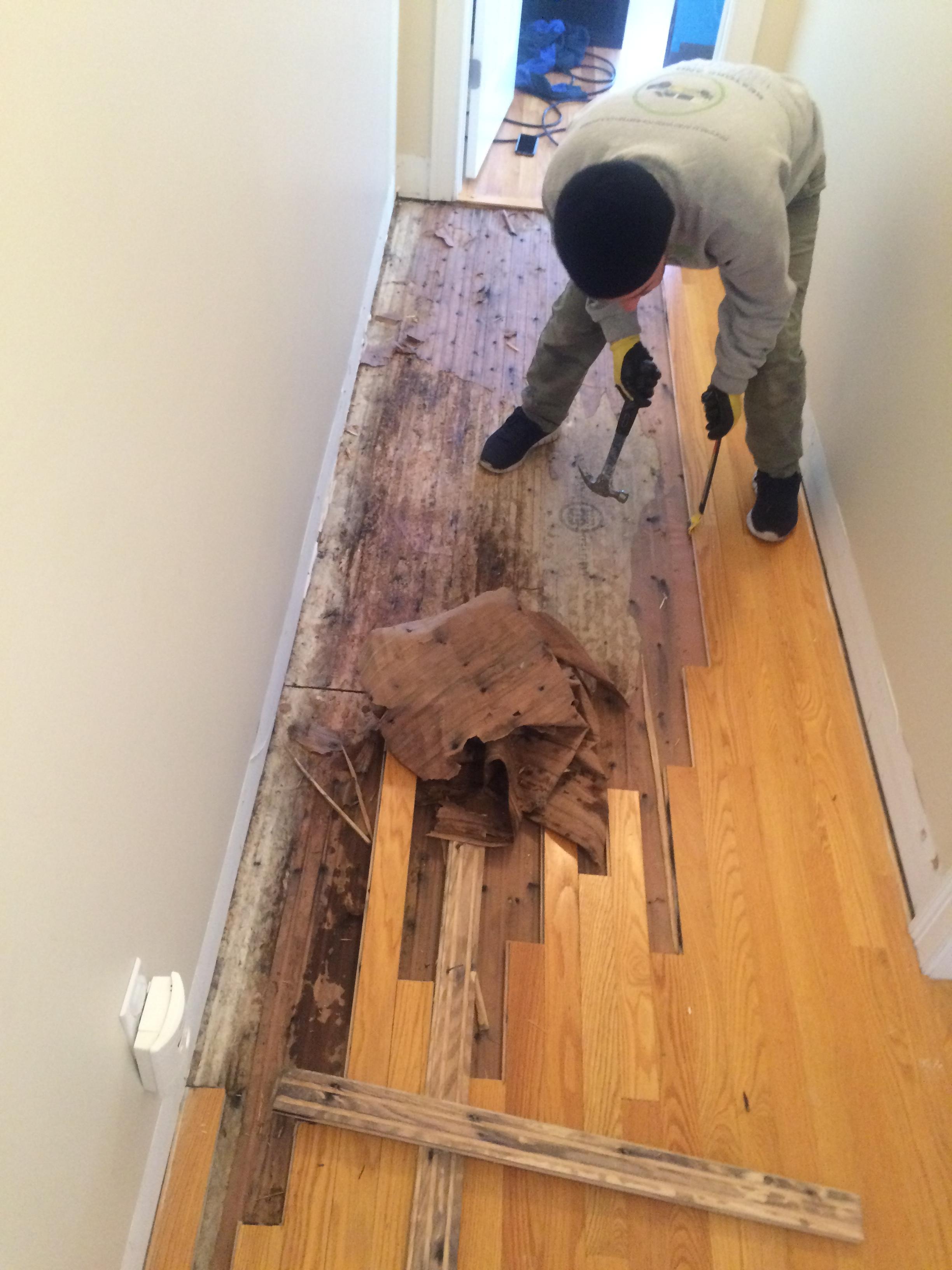 Water Damage Experts LLC Photo