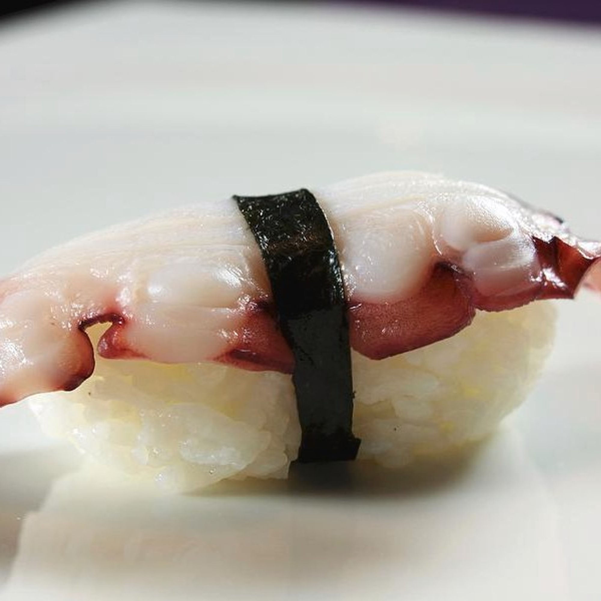 Octopus Nigiri