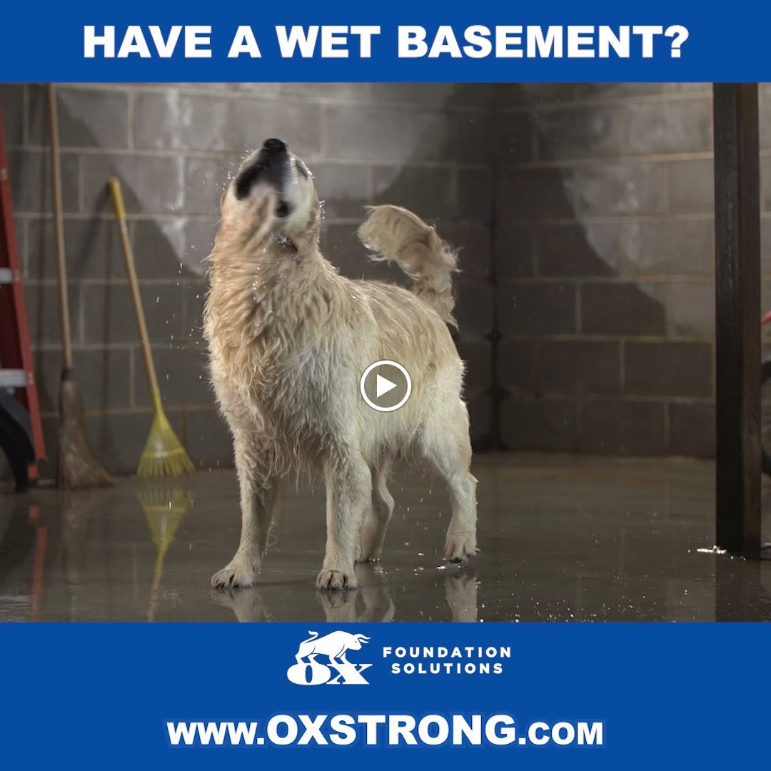 Ox Foundation Solutions Image