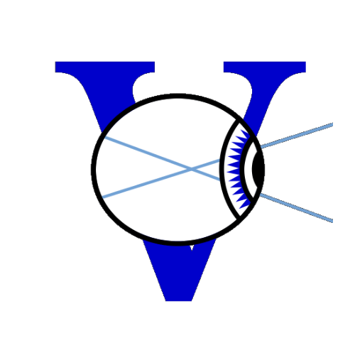 Ohio Vision LLC Logo