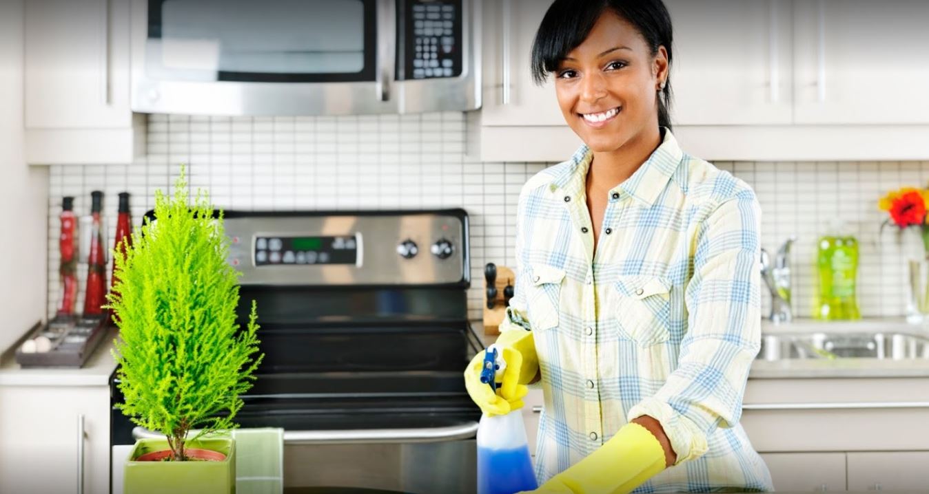 Claudia's Cleaning Service Logo