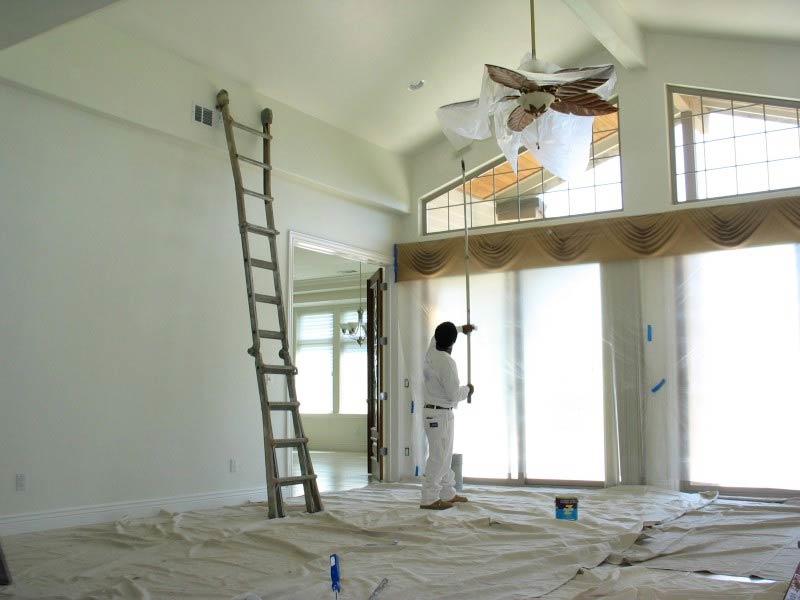 Lion Painting and Drywall Services Photo