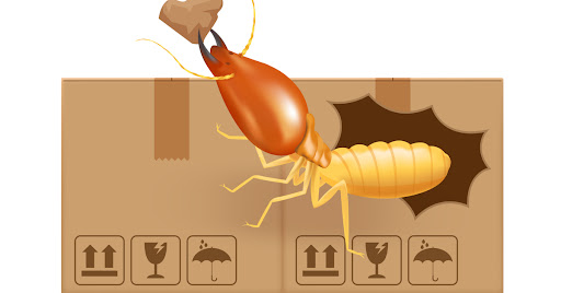 NJ Pest Control Image