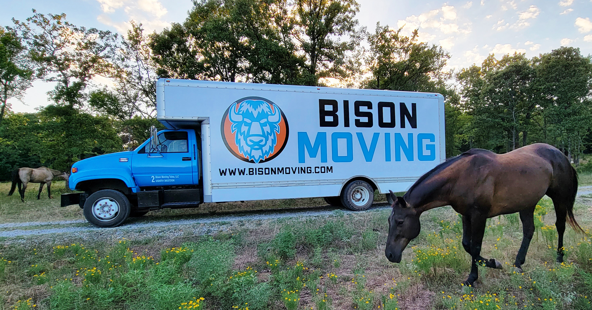 Bison Moving Tulsa Image