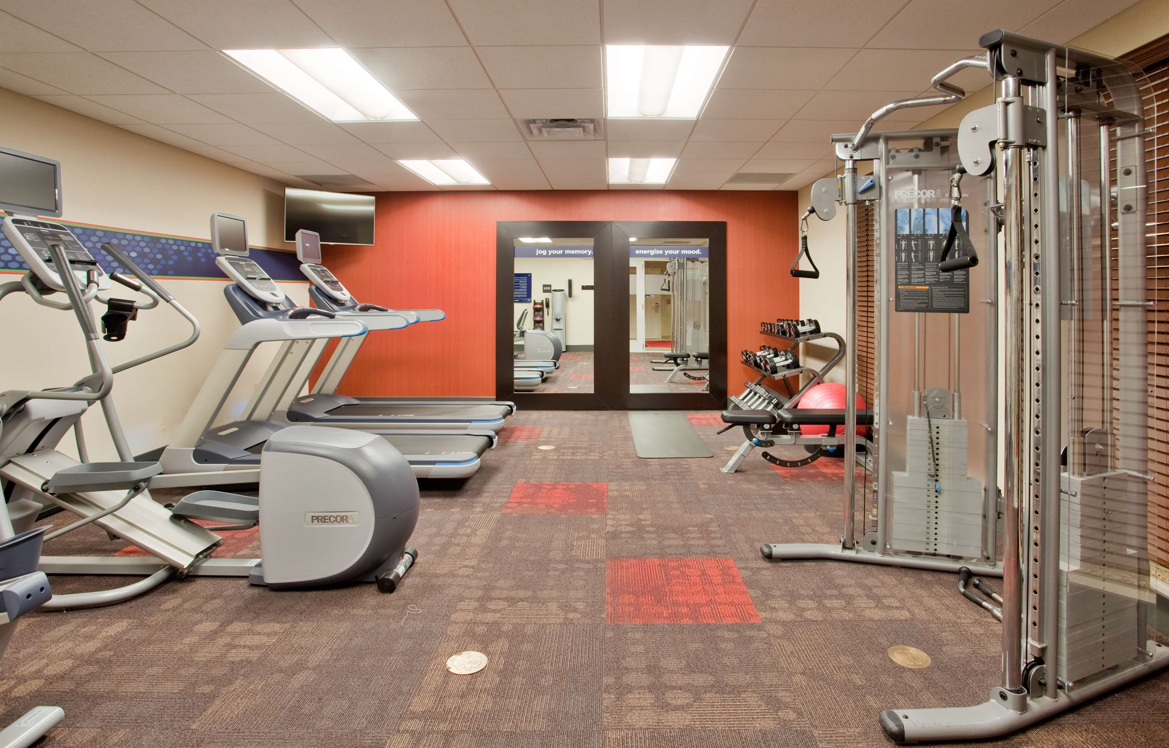 Health club  fitness center  gym