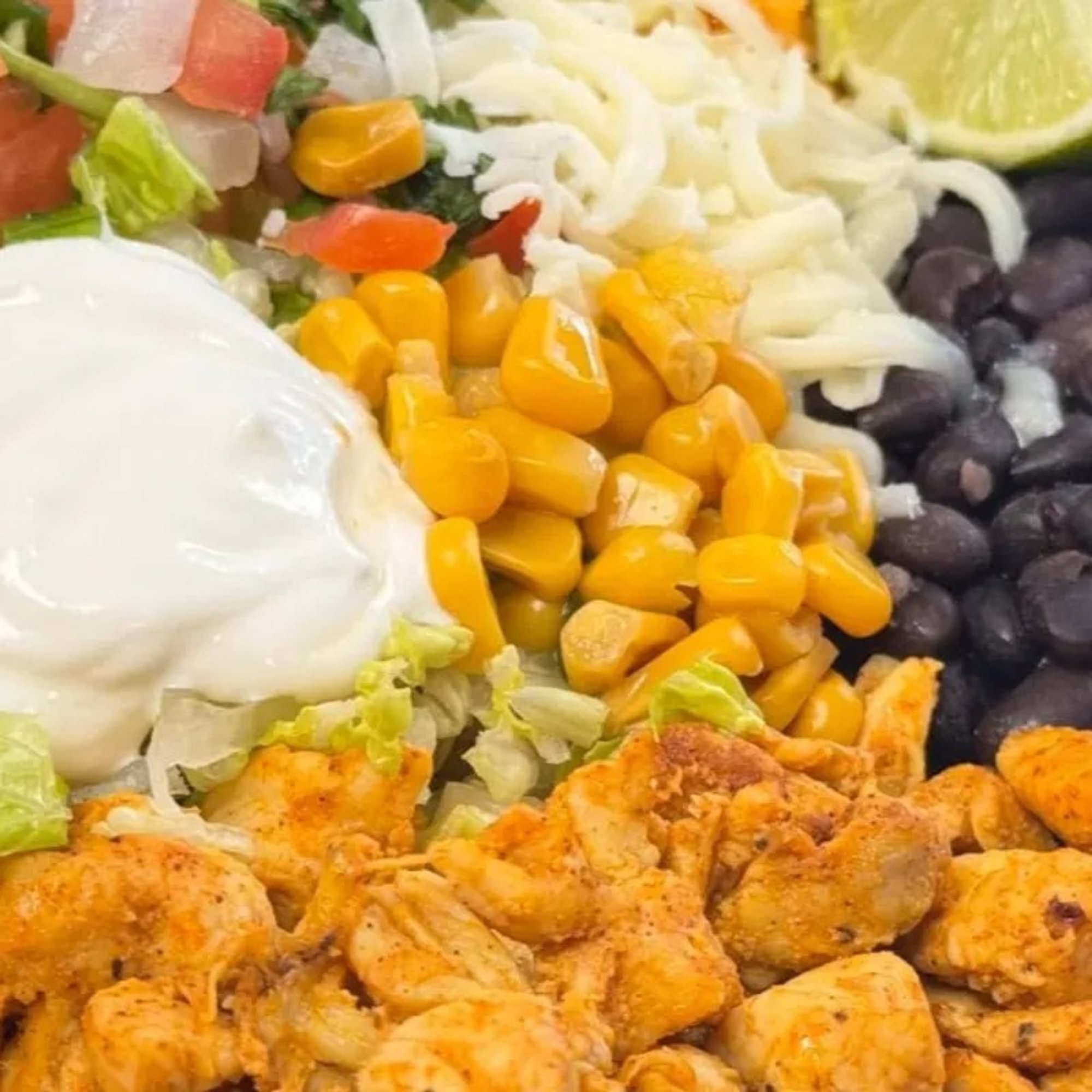 Burrito Bowl