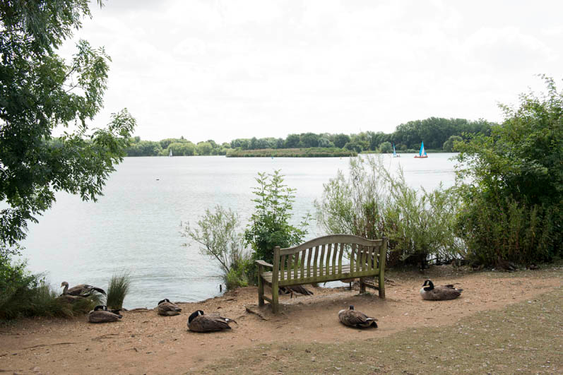 Images Beefeater Priory Marina