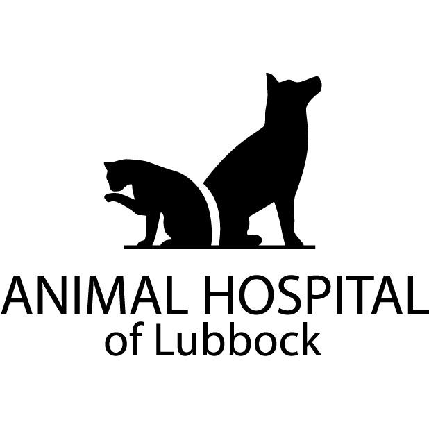 Animal Hospital of Lubbock Photo