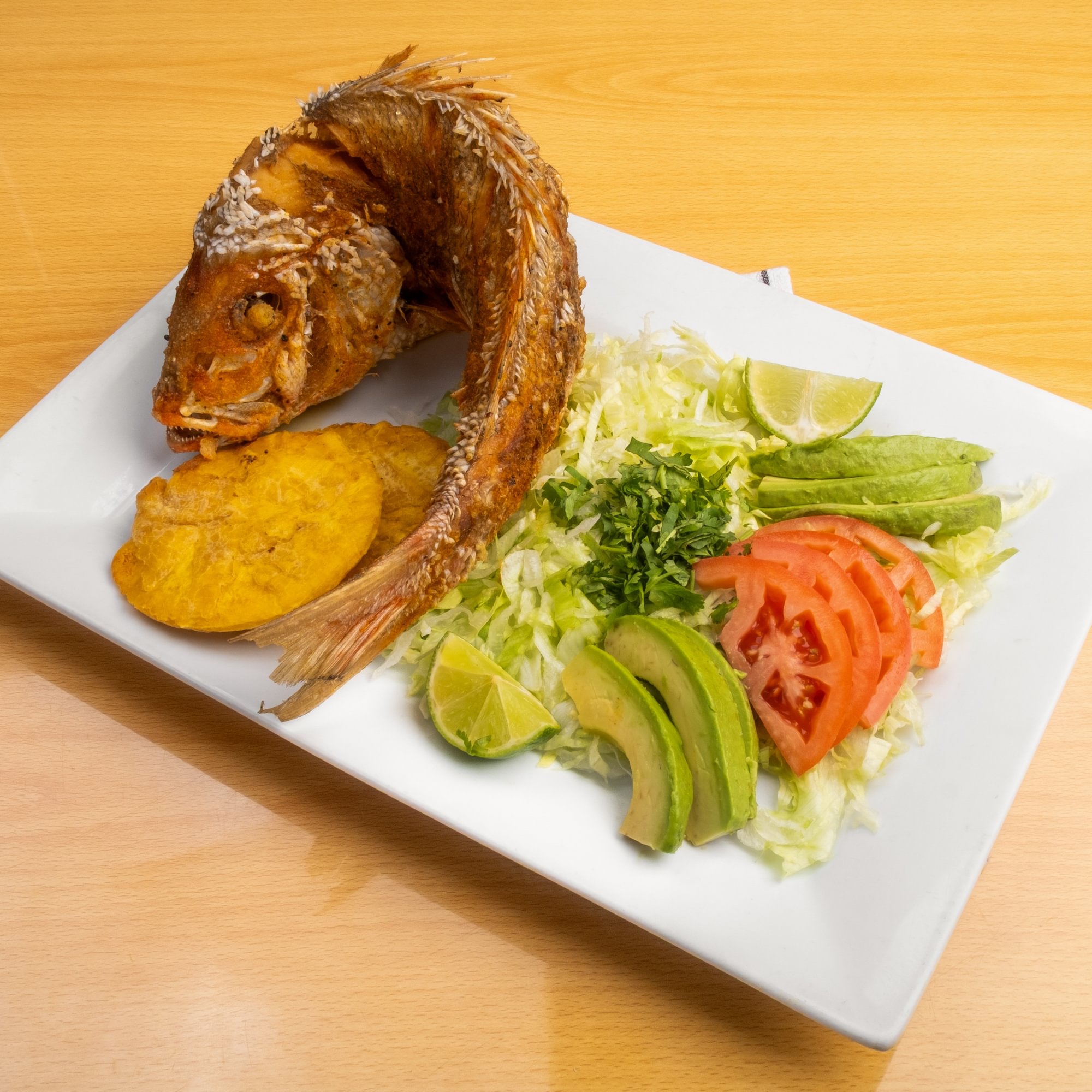 Red Snapper