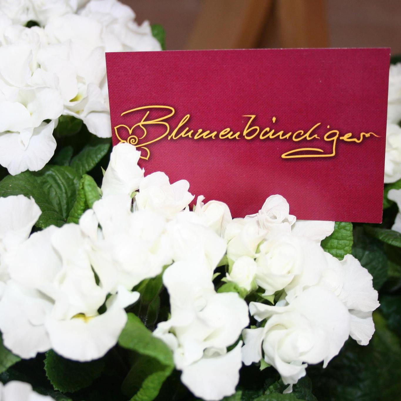 Logo von Blumenbändiger
