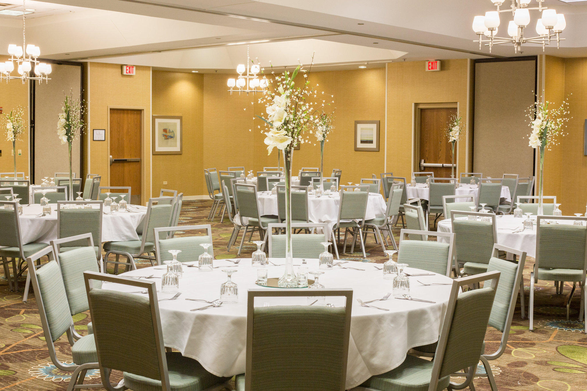 Holiday Inn & Suites Bolingbrook by IHG Image