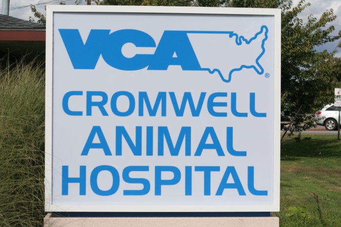 VCA Cromwell Animal Hospital Photo