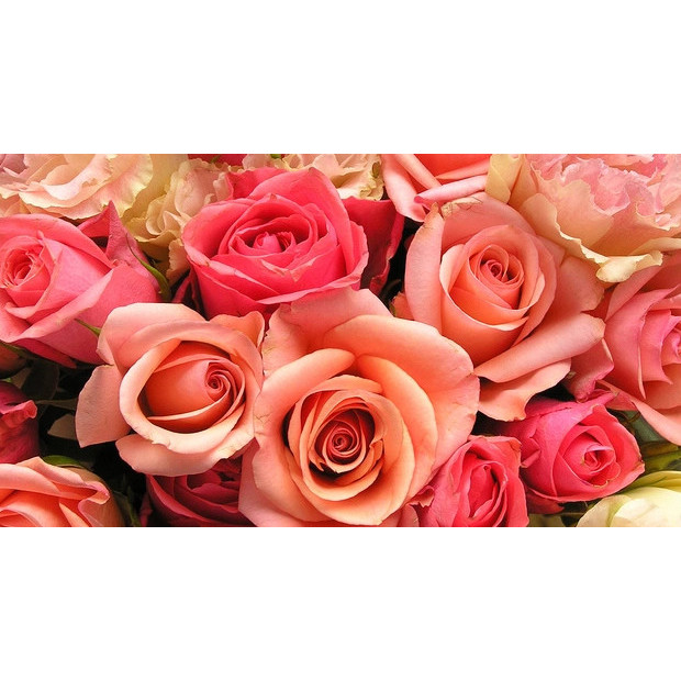 Miss Laura's Place Logo