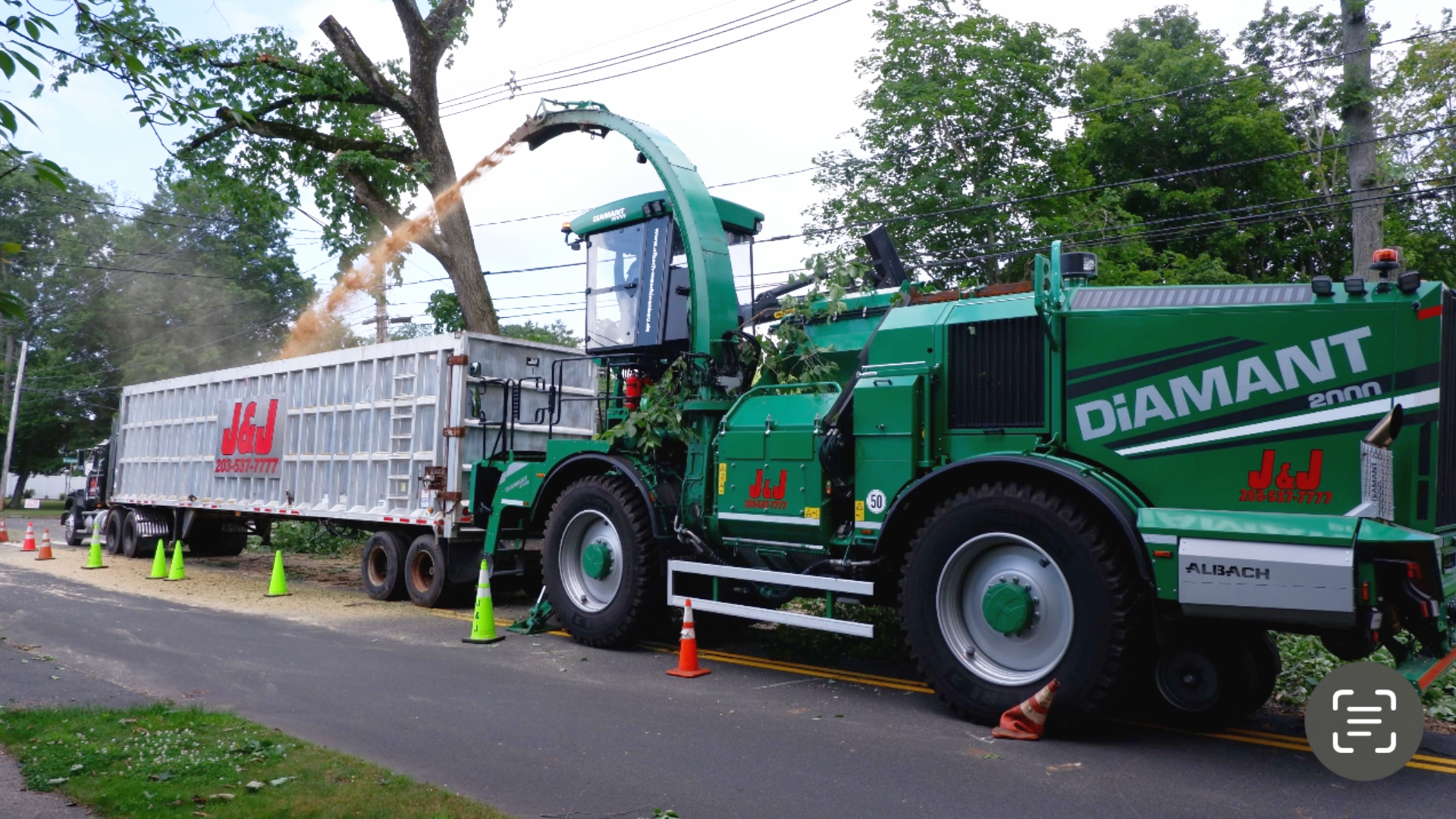 Big Woody's Tree Service Image