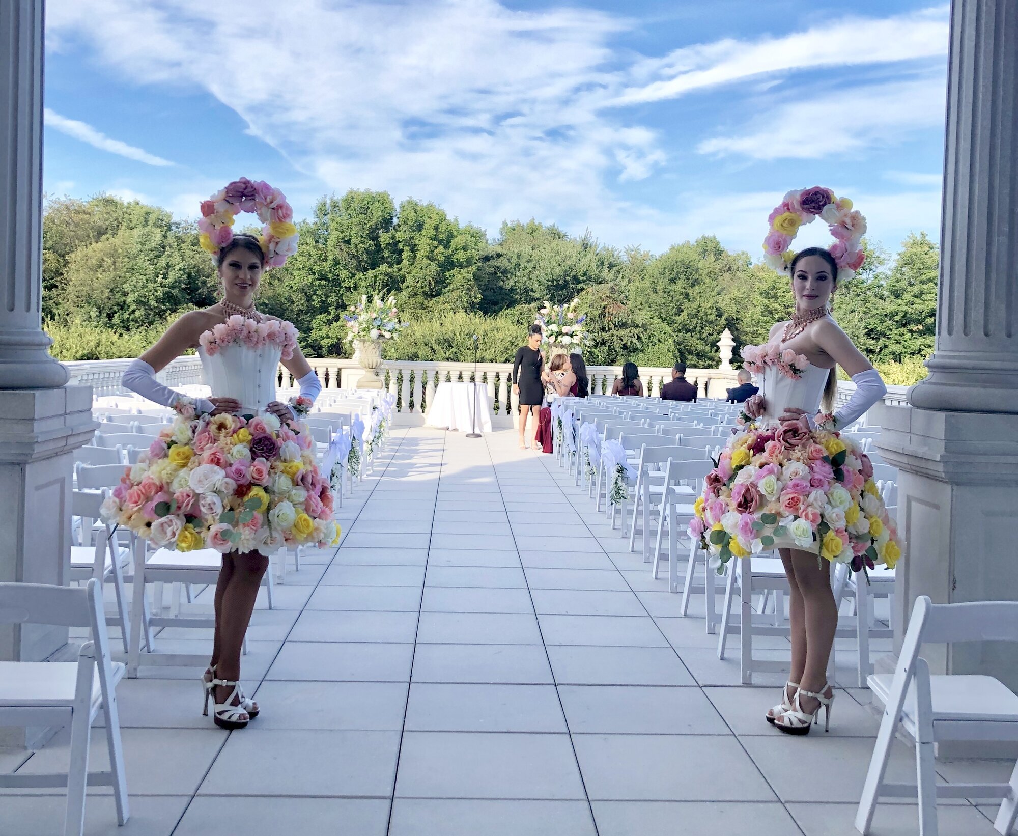 Aerial Artistry Image