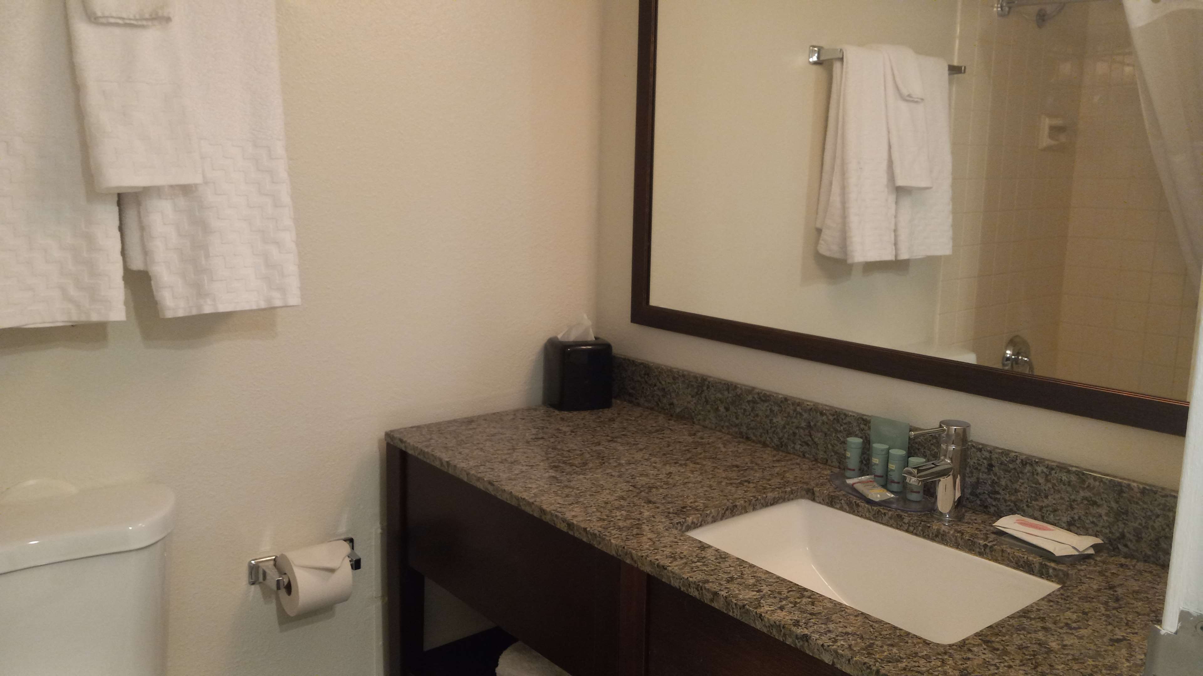 King with Sofabed + Twin Bunks