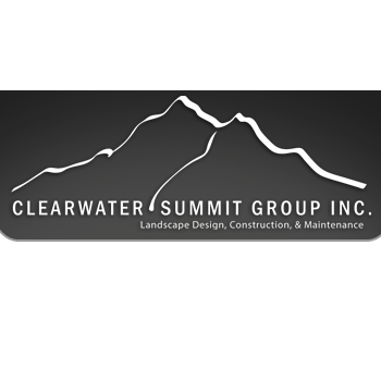 Clearwater Summit Group Inc Logo