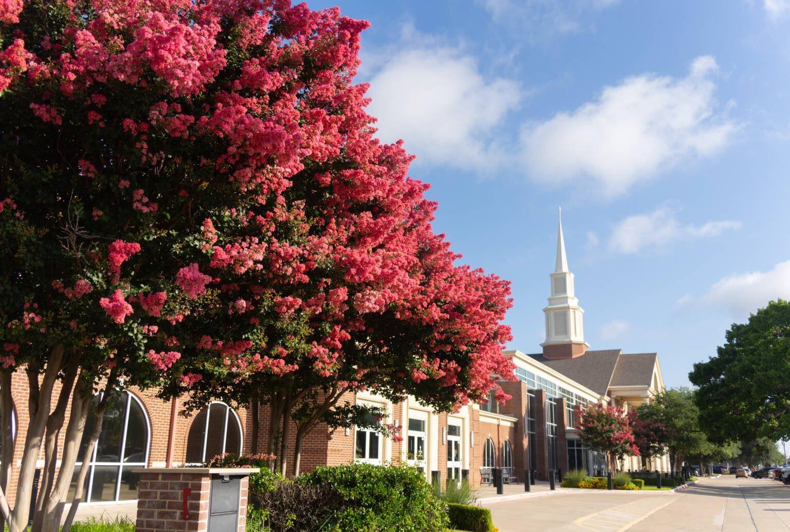 Custer Road United Methodist Church Image