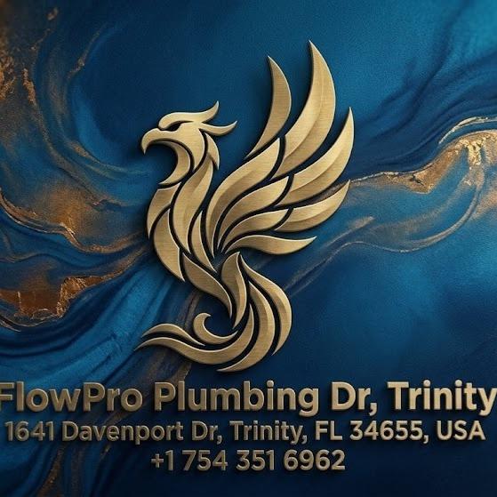 FlowPro Plumbing Dr, Trinity Logo