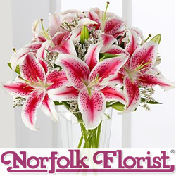 Norfolk Florist