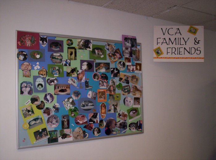 Images VCA Farmington Hills Animal Hospital