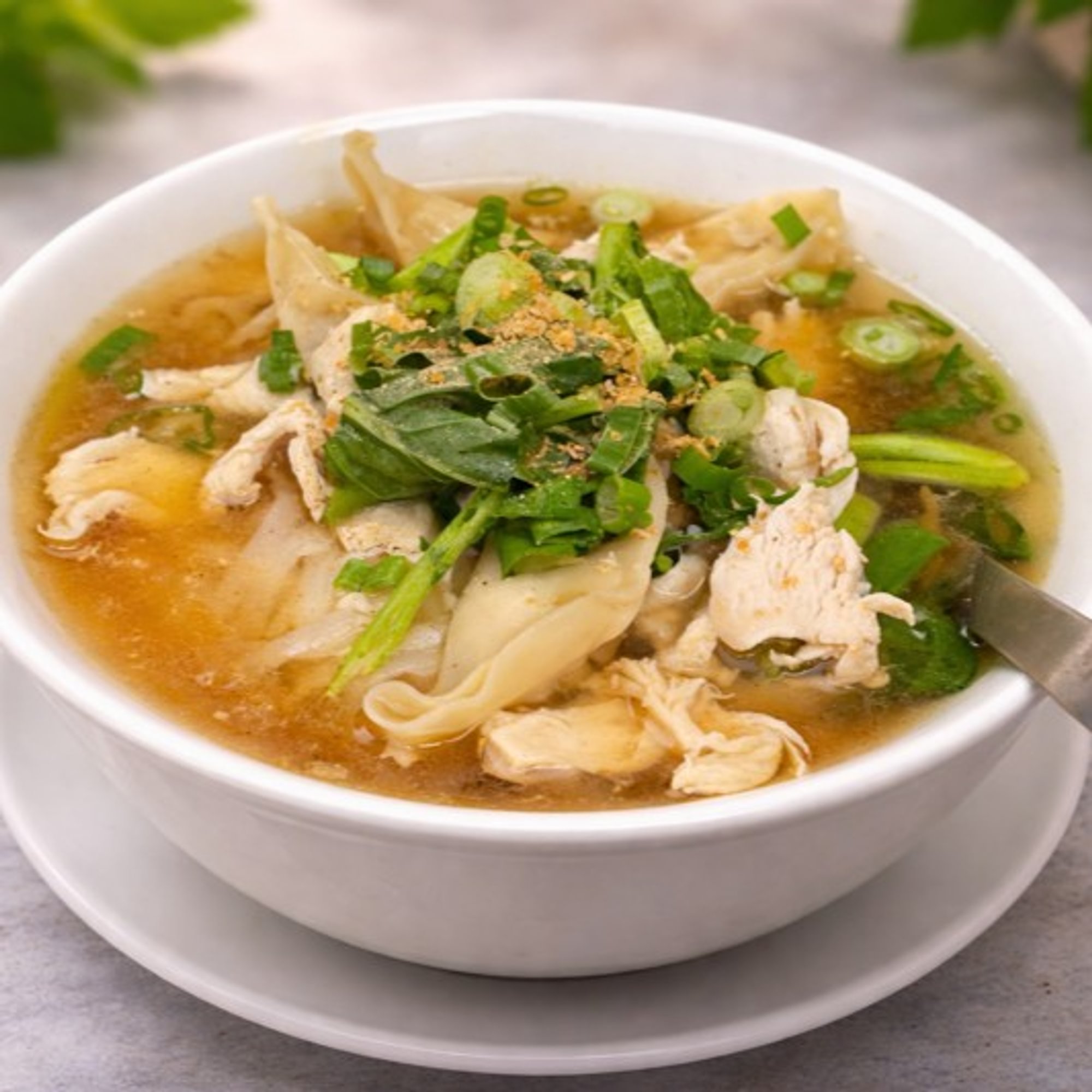 Dumpling Noodle Soup